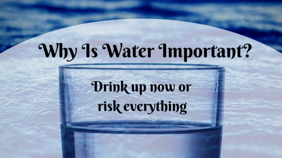 Why is Water Important? Drink Up Now or Risk Everything!