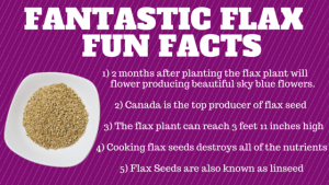 Fantastic Flax is awesome for you